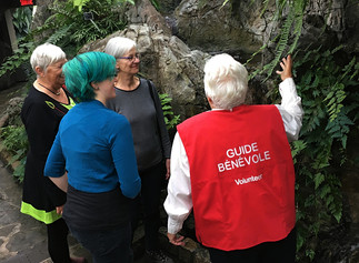 Visites guidées des serres d'exposition