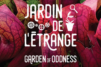 Jardin de l'étrange