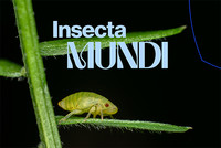 Frédéric Lavoie. Insecta Mundi