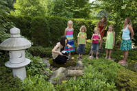 Visite guidée du Jardin de thé