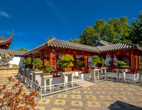 L'art des penjing