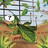 Les insectes nous inspirent… des BD débridées!