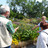 Visites guidées des jardins extérieurs