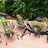 Vies d'insectes : les pollinisateurs