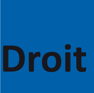 Responsabilité, fraternité et développement durable en droit : Une conférence en mémoire de l'honorable Charles D. Gonthier 