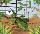 Les insectes nous inspirent… des BD débridées!
