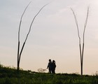Celebrating Entomophilia in Frédéric-Back Park
